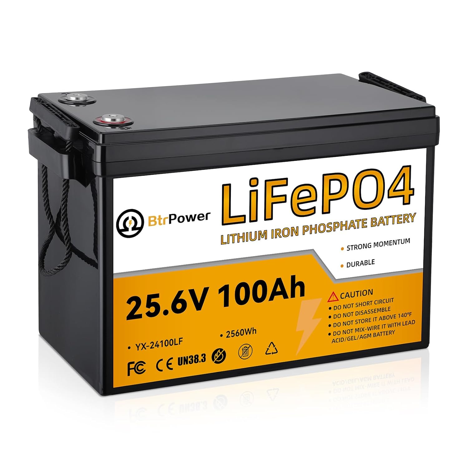 Lithium Battery 100Ah - 24V 100Ah 리튬 LiFePO4 배터리, 8000+