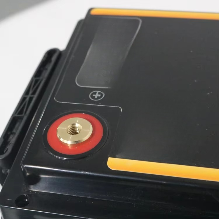 Lifepo4 12V 100Ah 200Ah 300Ah  - Lithium Battery 100Ah 리뷰 및 가격