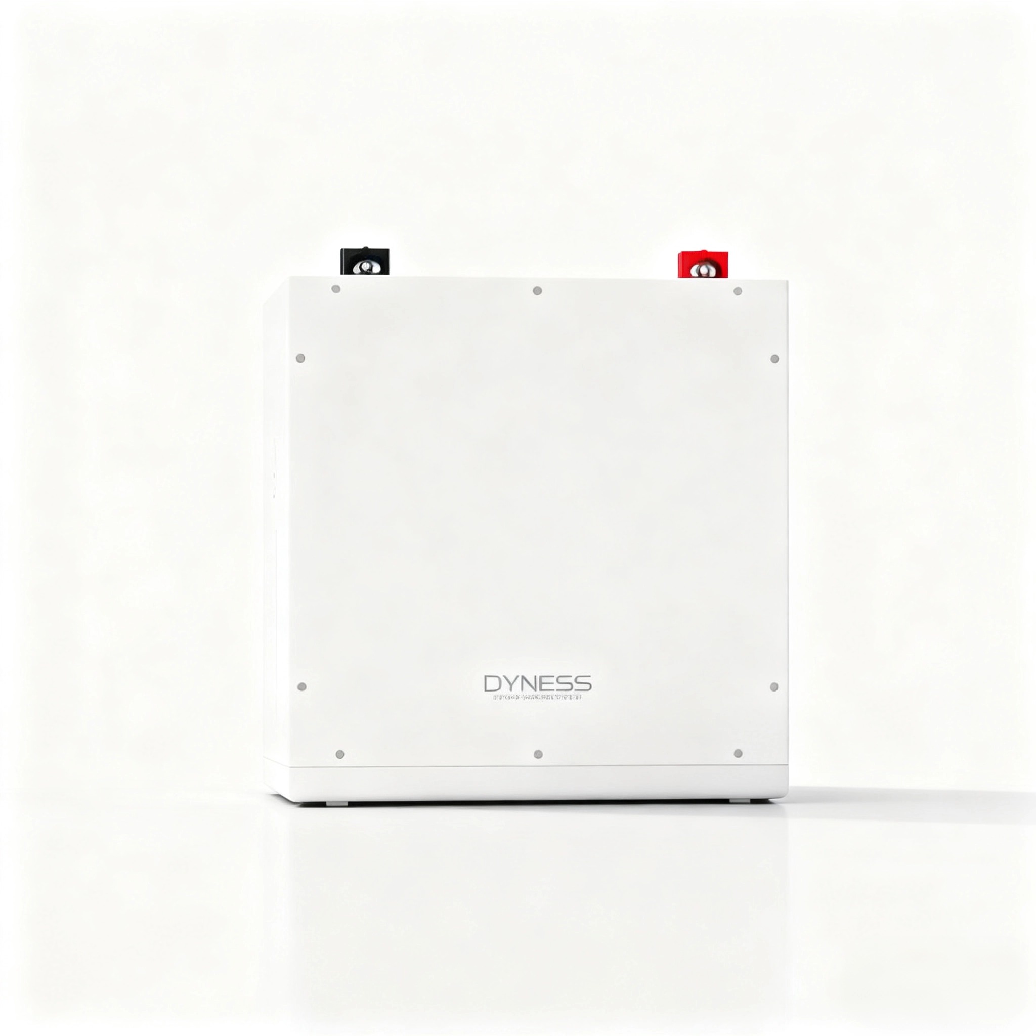 다이네스 DL5.0C 1C 리튬 이온 배터리 51.2v - Lithium Battery 100Ah 리뷰 및 가격
