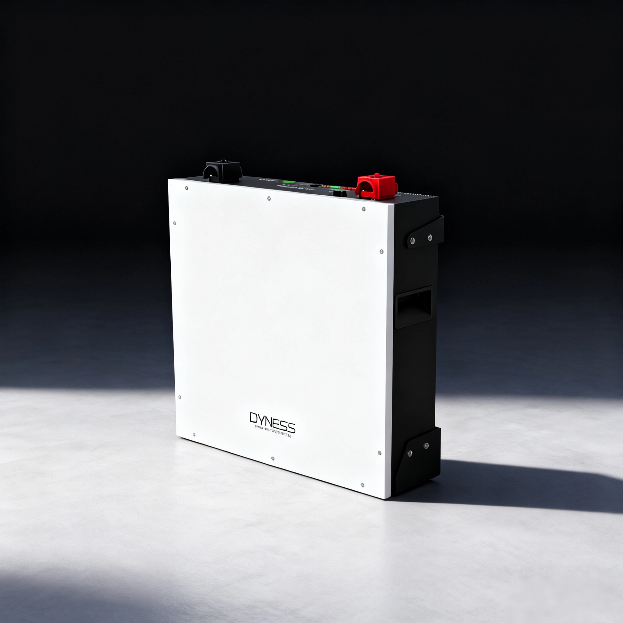 다이네스 DL5.0C 1C 리튬 이온 배터리 51.2v - Lithium Battery 100Ah 리뷰 및 가격