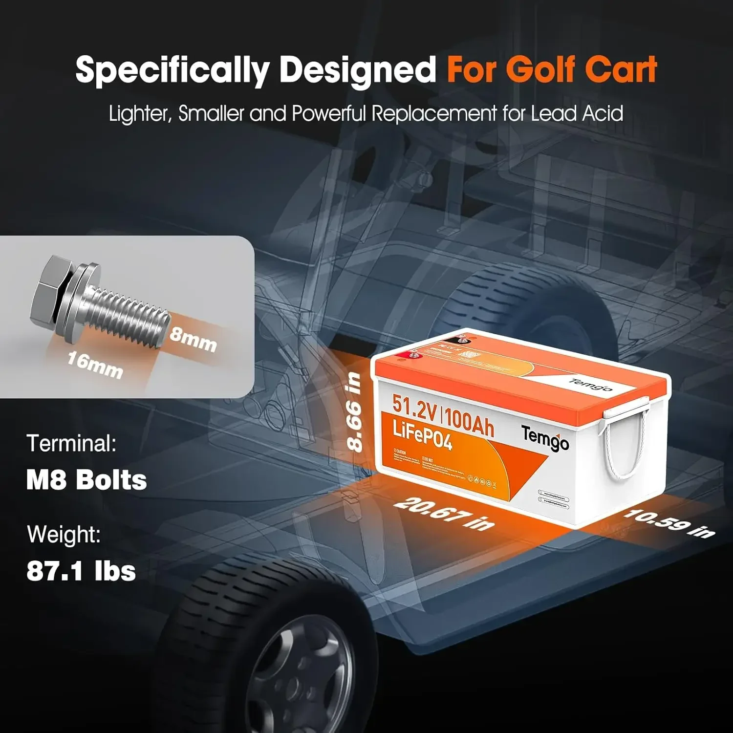 48V (51.2V) 100Ah LiFePO4 리튬 골 - Lithium Battery 100Ah 리뷰 및 가격